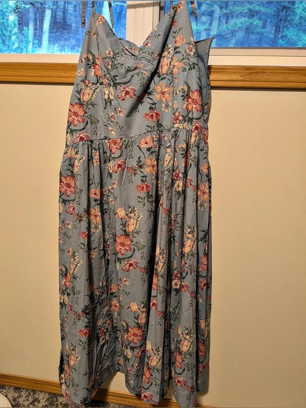 American Eagle Floral Maxi Dress Blue & Pink XL